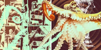 Paul the Octopus was the World Cup prediction king. He was unique. Or was he?